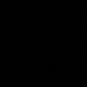 Meet your Posher, Sean